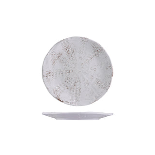 Sanibel White